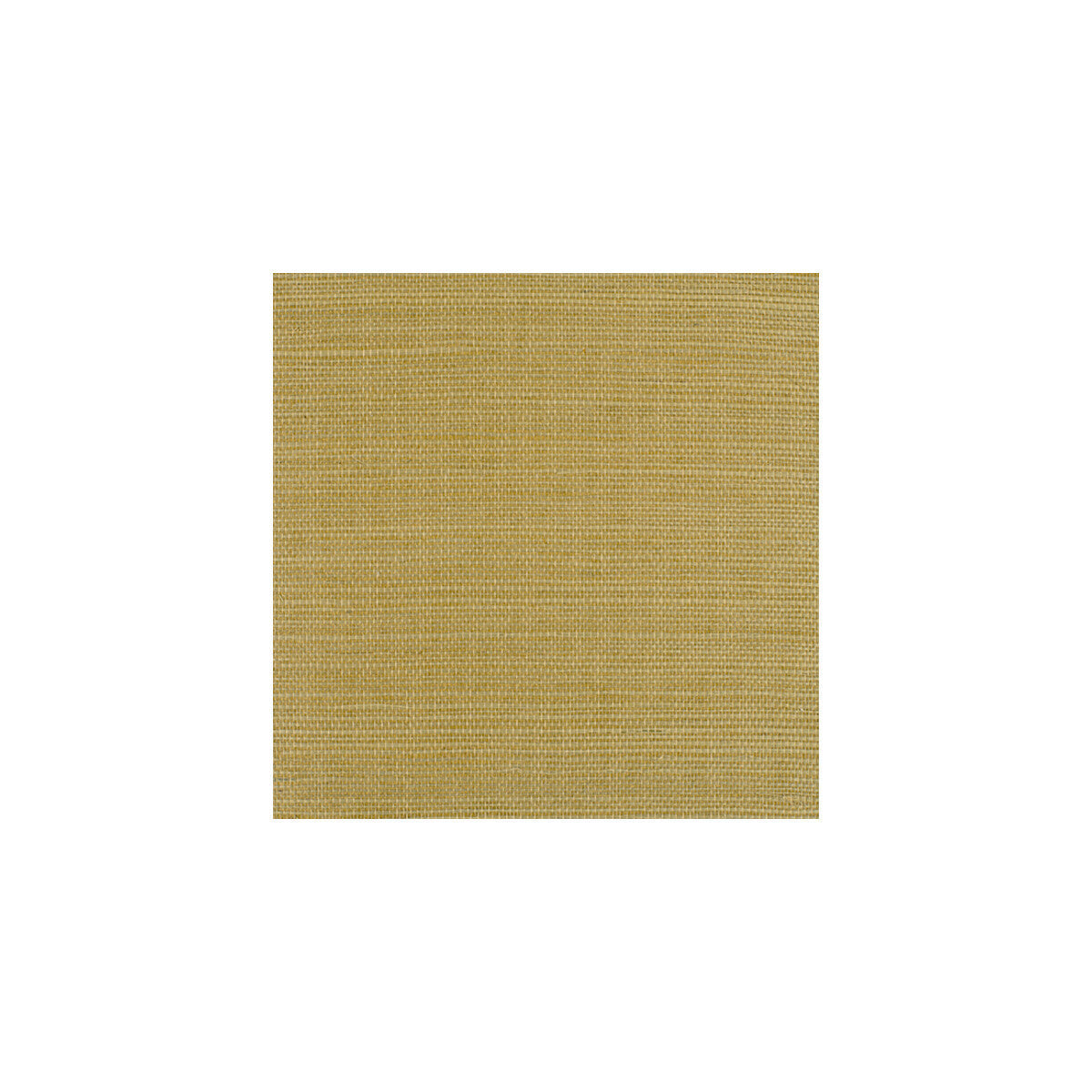 wiw2512wt0-bermuda-sand-winfield-thybony - WINFIELD THYBONY Wallpaper