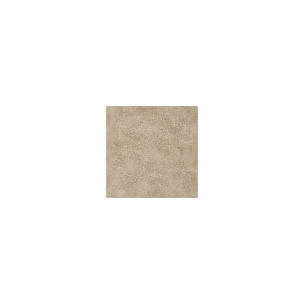spur1160-spur-sandstone-kravet-contract