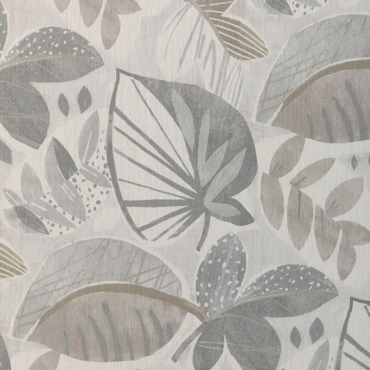 leaf-a-lot110-leaf-a-lot-dove-kravet-basics