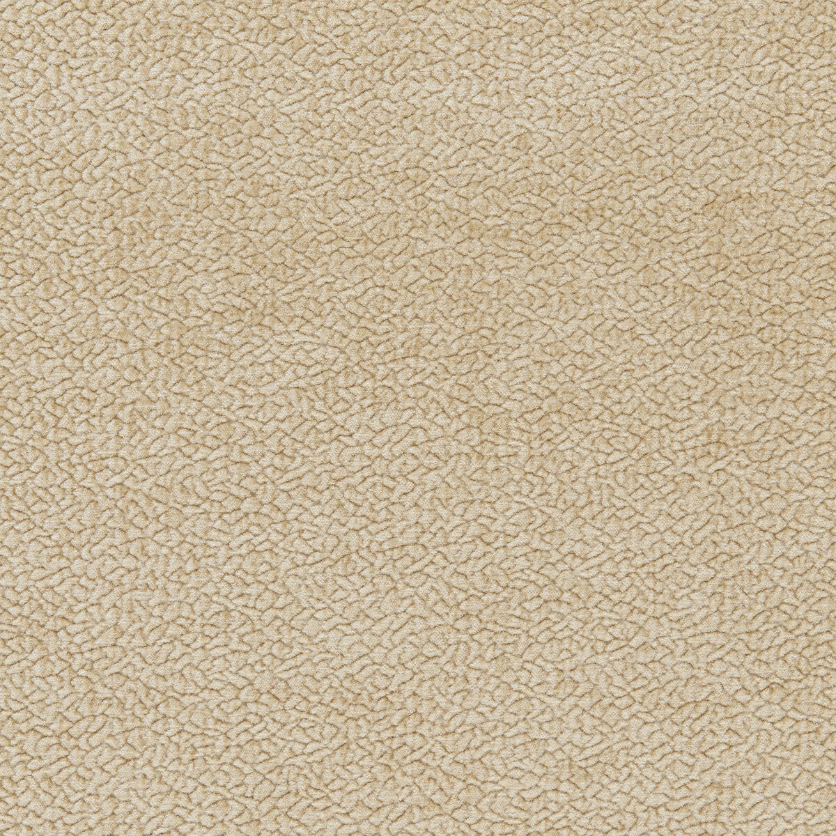 3607416060-barton-chenille-almond-kravet-smart