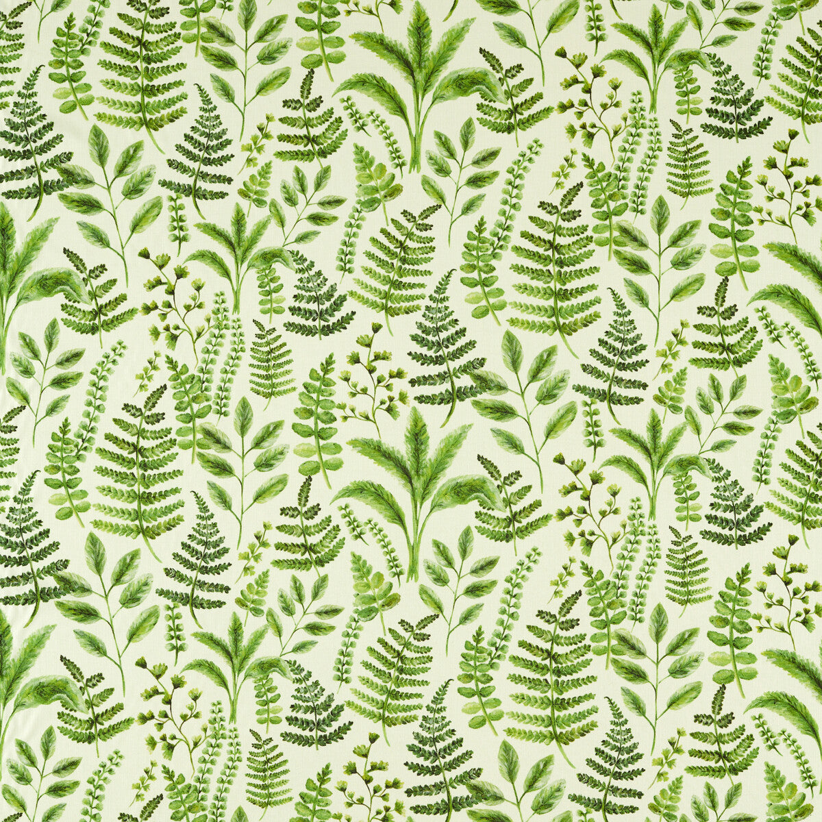 f165301cac0-bracken-forest-clarke-and-clarke