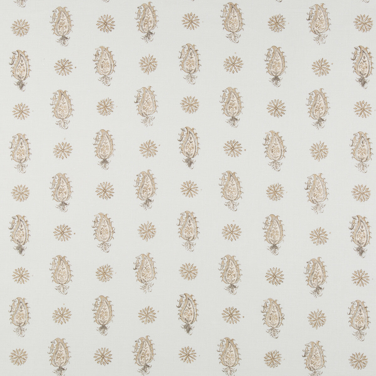 8016100130-onam-paisley-spabeige-brunschwig-fils - BRUNSCHWIG & FILS Fabric