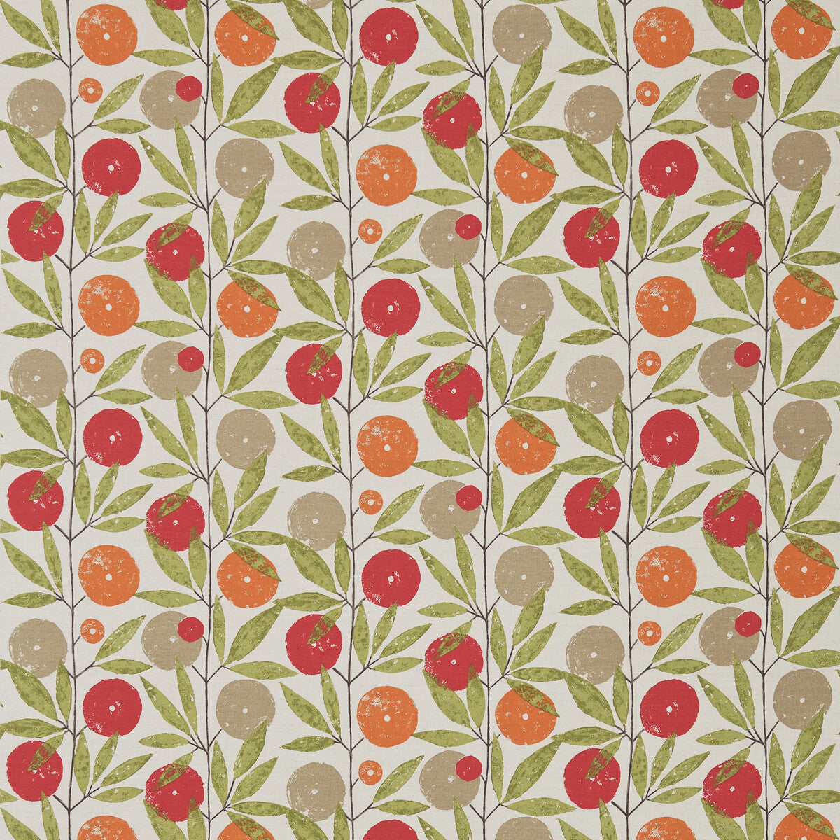 nfik120358scn0-blomma-tangerinechillicitrus-scion