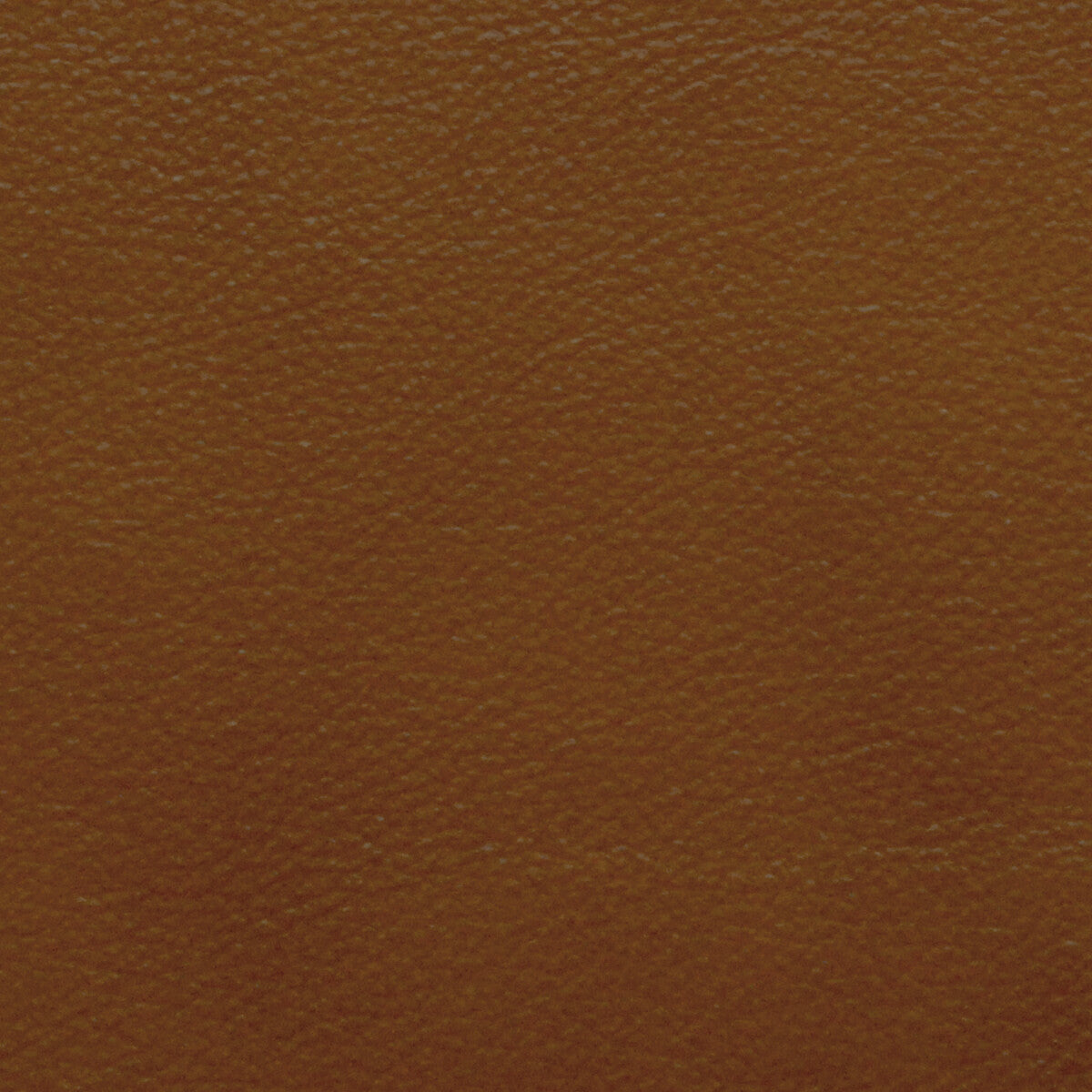 l-portofincognac0-kravet-design-l-portofin-cognac-kravet-design