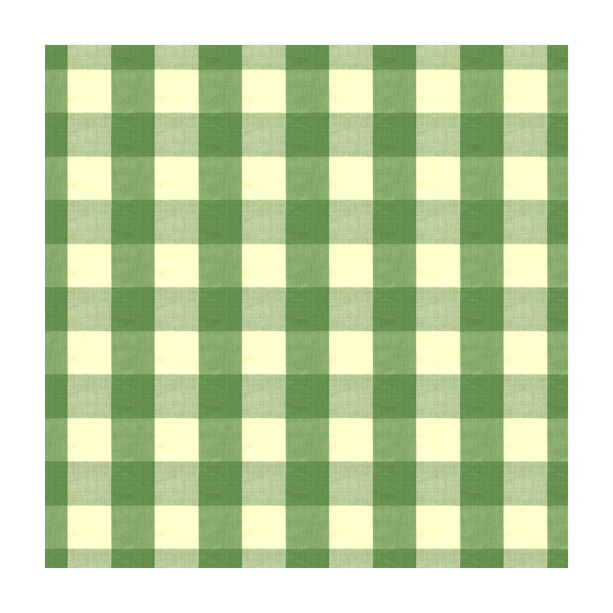 br-897254640-exchequer-cotton-check-jade-brunschwig-fils