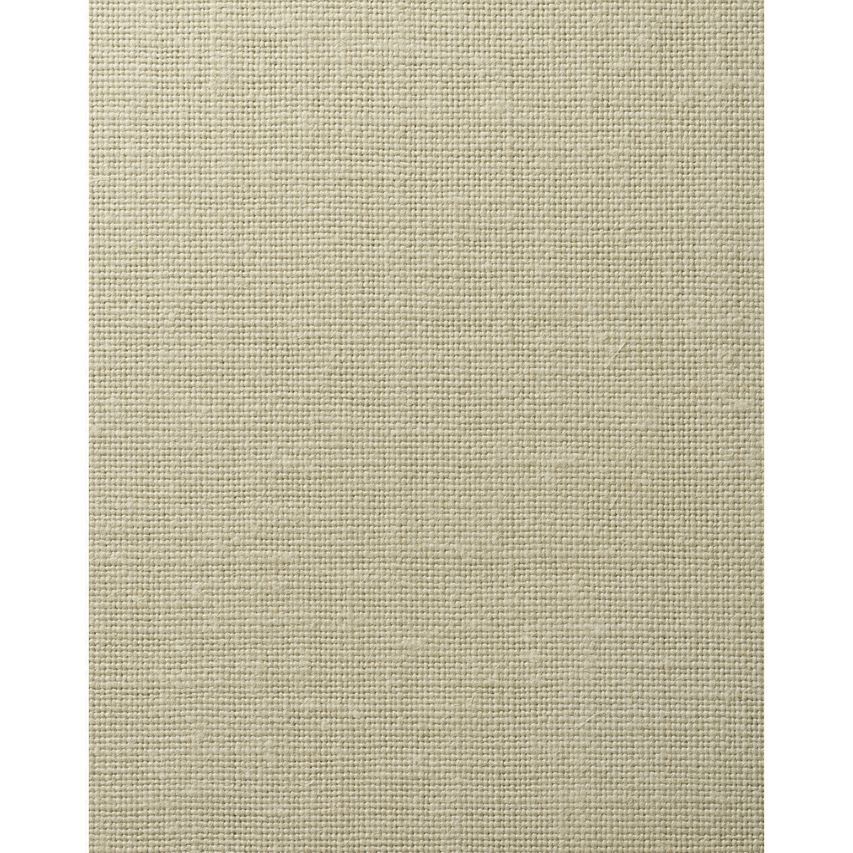 wft1701wt0-chadwick-biscuit-winfield-thybony - WINFIELD THYBONY Wallpaper