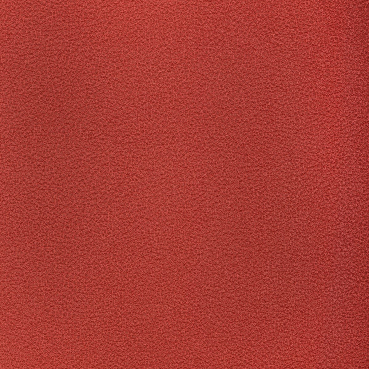 reset190-reset-raspberry-kravet-contract