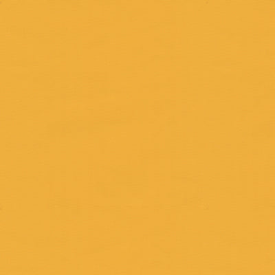 br-810813460-ninon-taffetas-sunburst-brunschwig-fils - BRUNSCHWIG & FILS Fabric