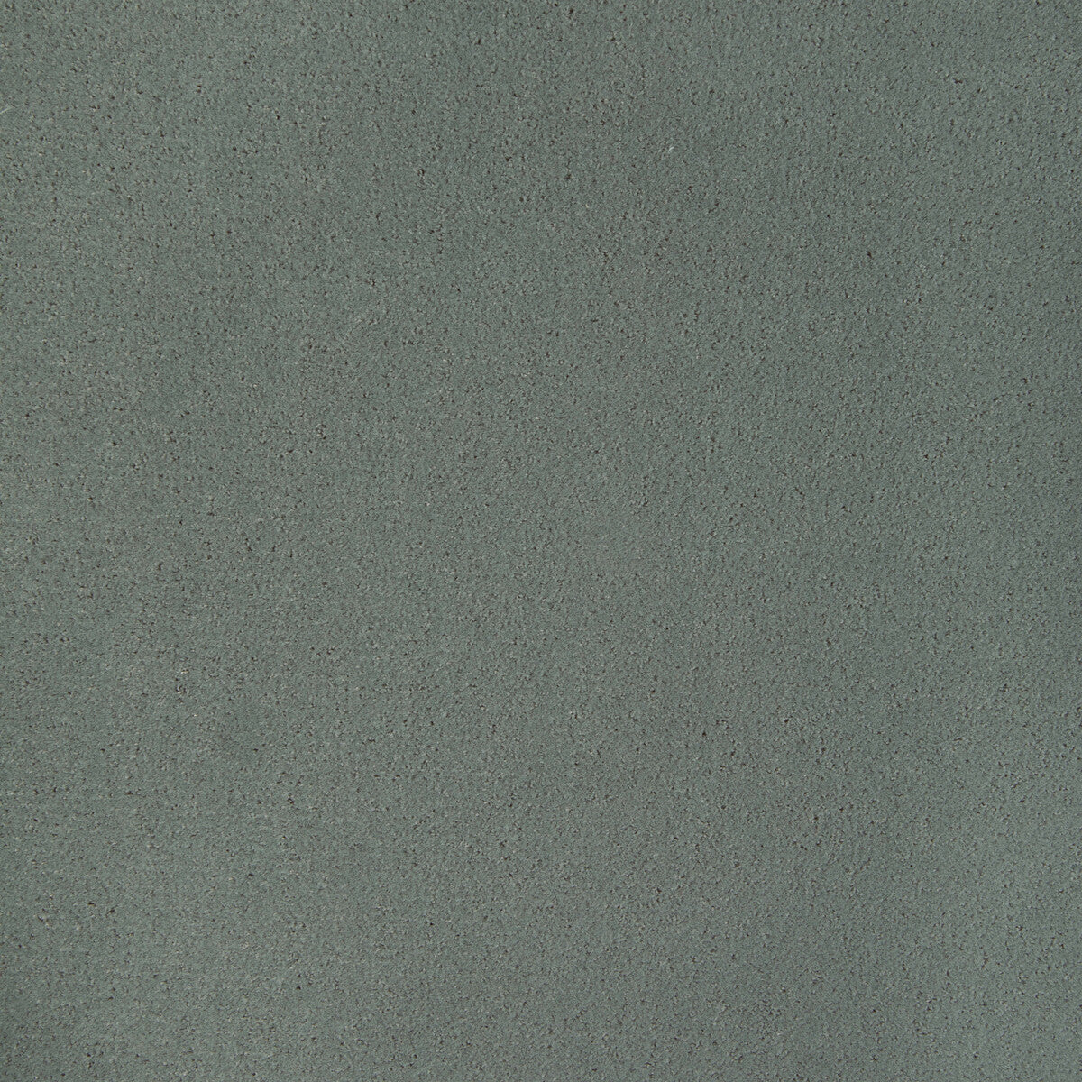 36543210-fomo-koala-kravet-contract