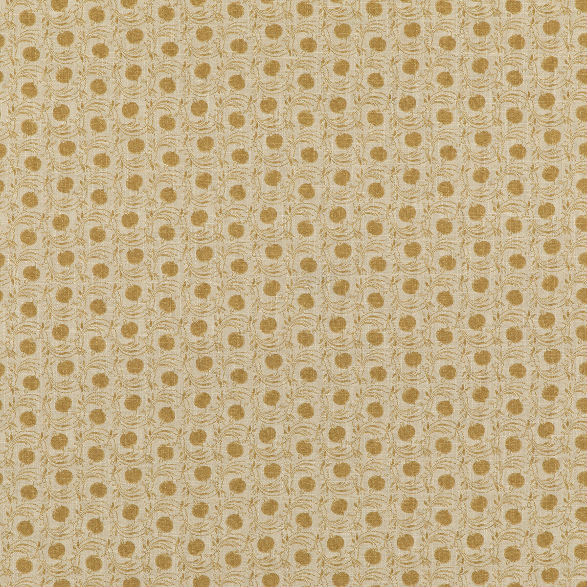 bp1082430-seed-pod-ochre-g-p-j-baker