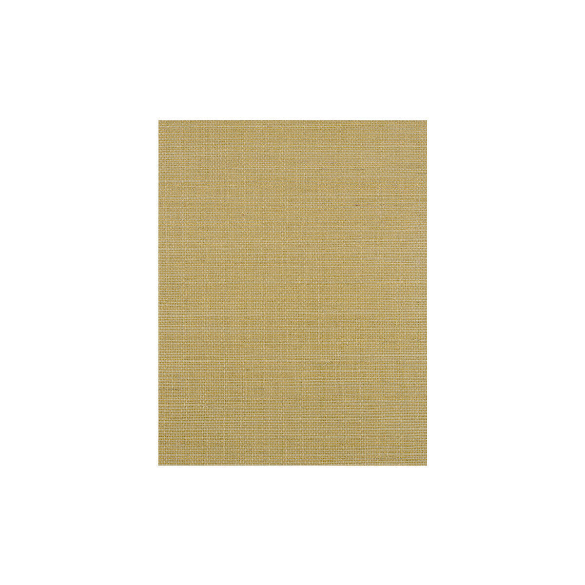wiw2528wt0-bermuda-citrine-winfield-thybony - WINFIELD THYBONY Wallpaper