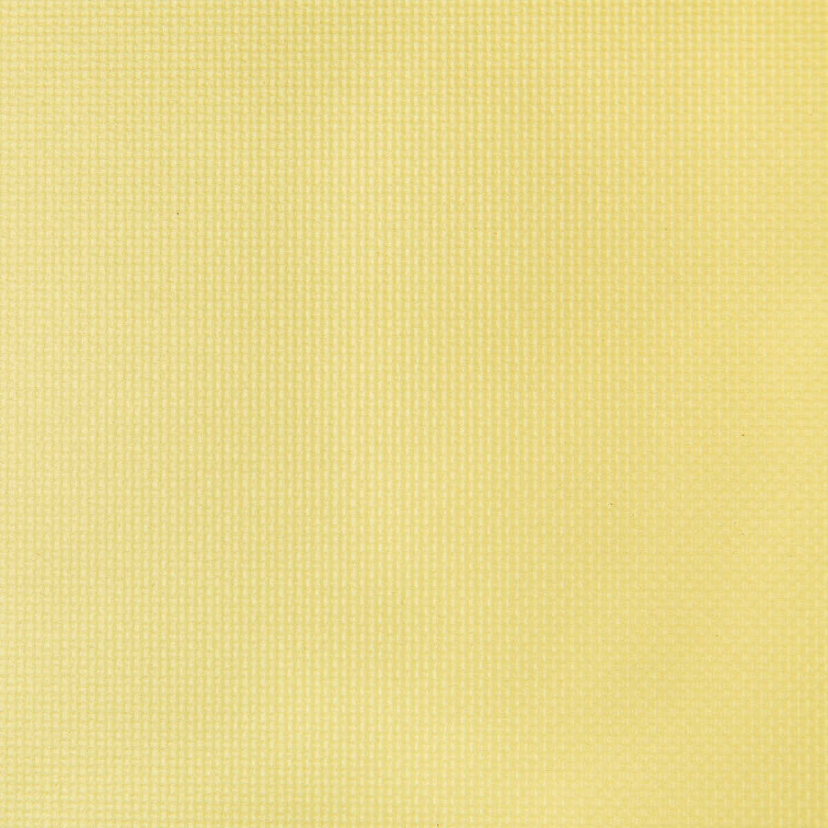 Sidney - Lemon Ice