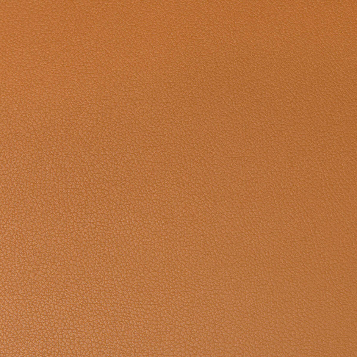 Syrus - Cognac