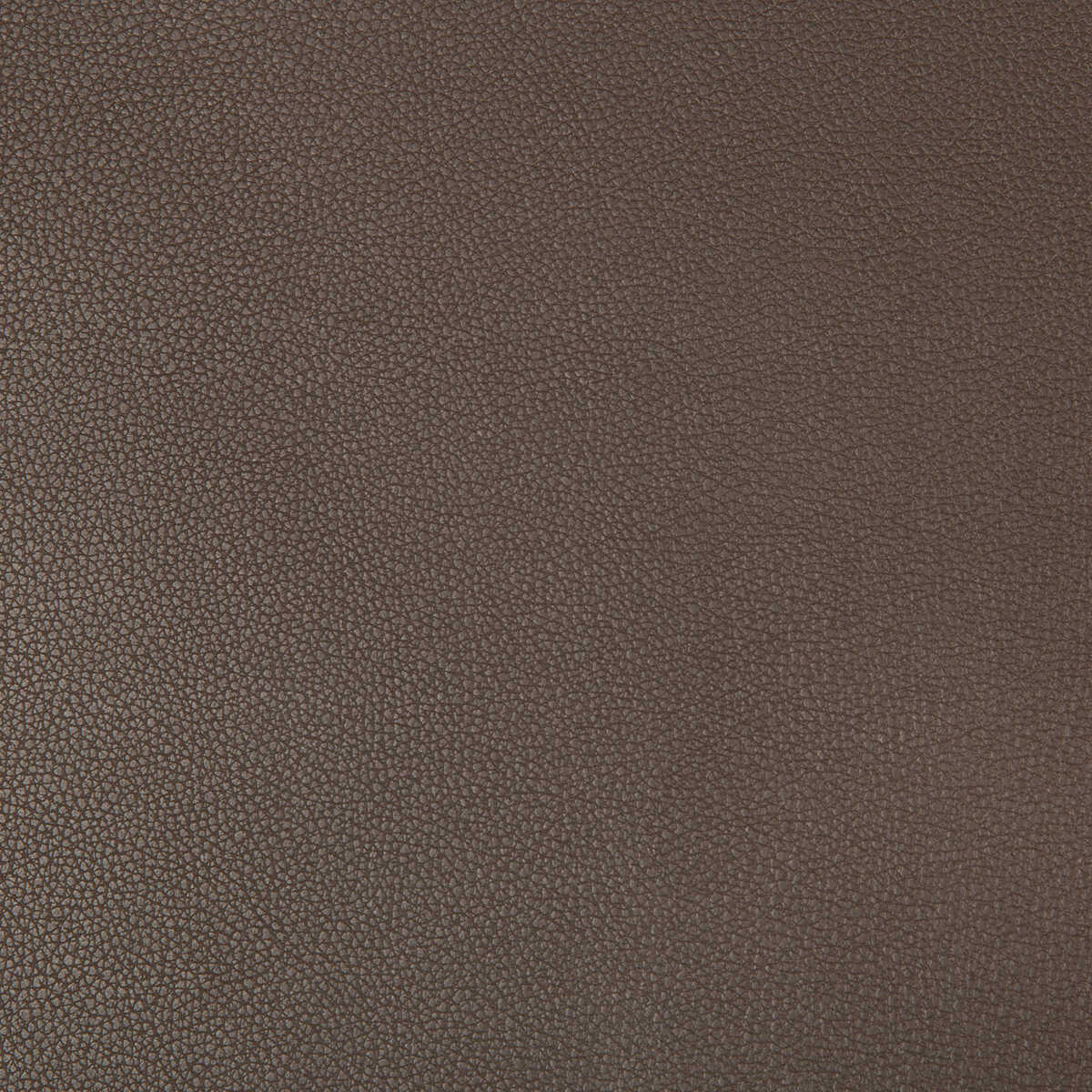 Syrus - Espresso