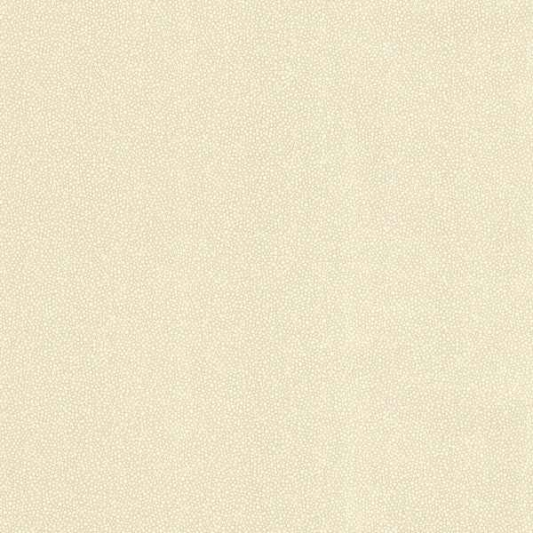 Spore Beige Bubble Texture Wallpaper - York Wallcoverings - 499-20023 - York Wallcoverings Wallpaper