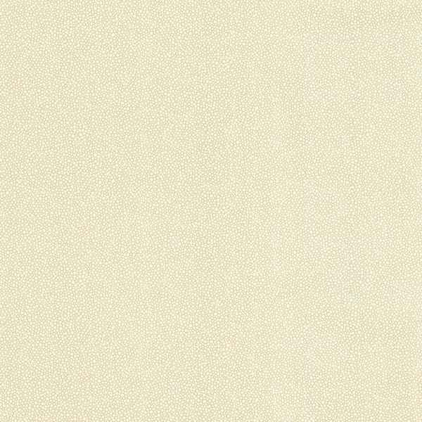 Collishaw Beige Shiny Bubble Texture Wallpaper - York Wallcoverings - 347-20023