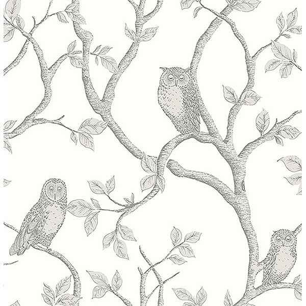 Enchanted Forest Grey Owl & Tree Wallpaper - York Wallcoverings - FD23289 - York Wallcoverings Wallpaper