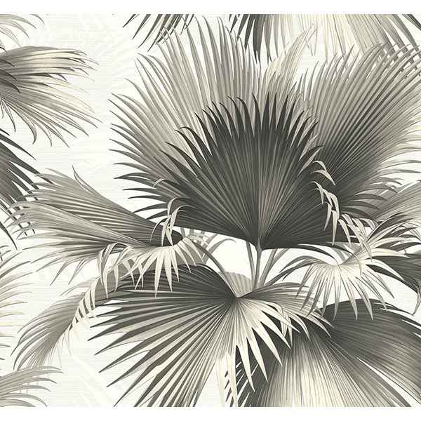 Endless Black Palm Wallpaper - York Wallcoverings - PS40100