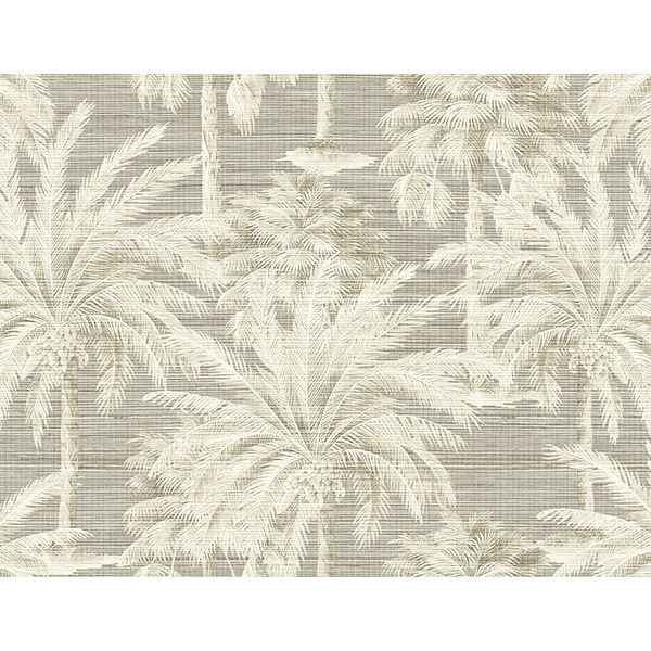 Dream Grey Texture Wallpaper - York Wallcoverings - PS40006