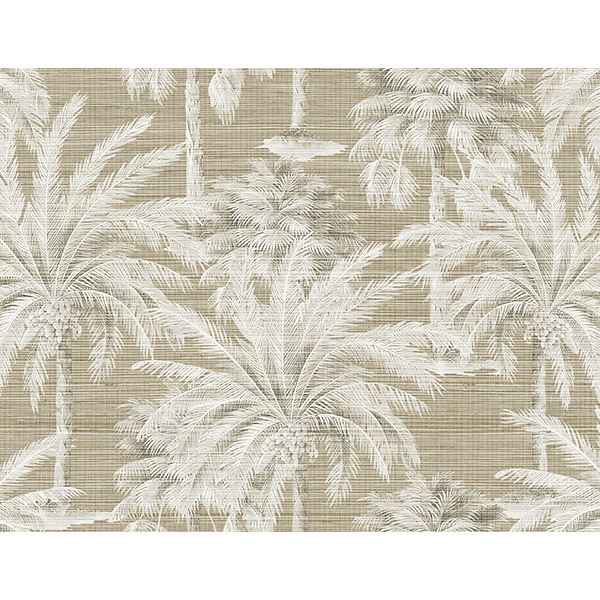 Dream Brown Texture Wallpaper - York Wallcoverings - PS40007 - York Wallcoverings Wallpaper