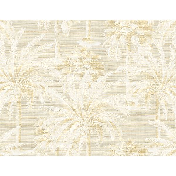 dream-beige-texture-wallpaper-york-wallcoverings-ps40003 - York Wallpaper Wallpaper