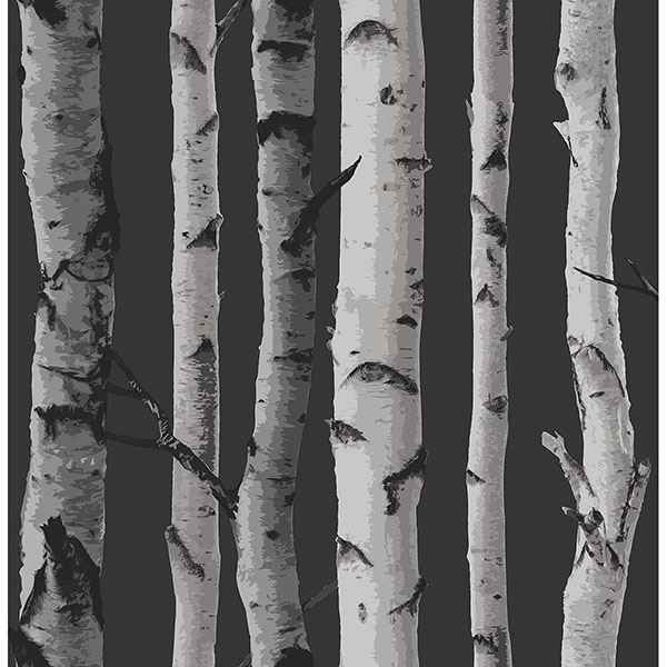 Distinctive Black Birch Tree Wallpaper - York Wallcoverings - 2900-31052