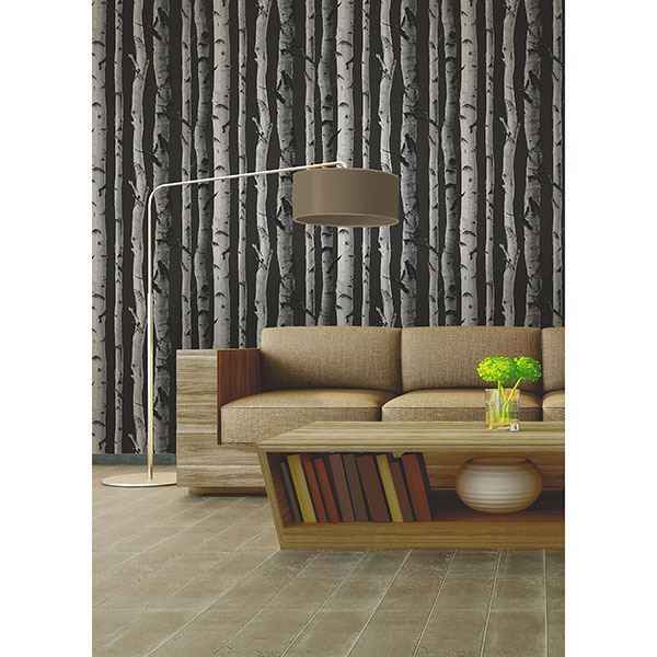 Distinctive Black Birch Tree Wallpaper - York Wallcoverings - 2900-31052 - York Wallcoverings Wallpaper