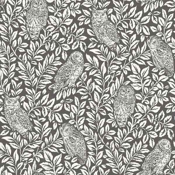 Parliament Brown Owl Wallpaper - York Wallcoverings - 3115-12415