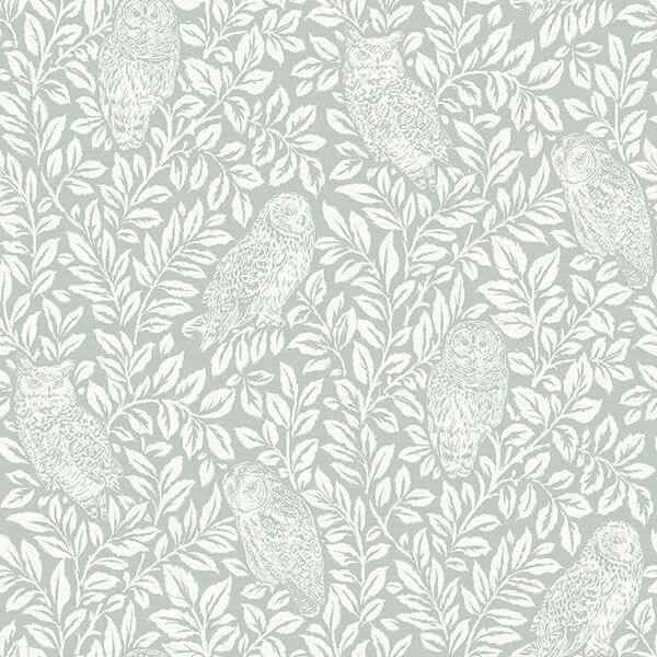 Parliament Teal Owl Wallpaper - York Wallcoverings - 3115-12414 - York Wallcoverings Wallpaper