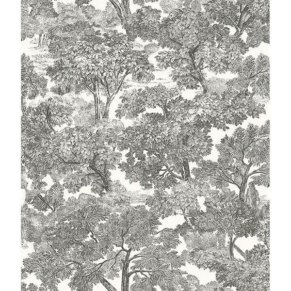spinney-black-toile-wallpaper-york-wallcoverings-3115-12542