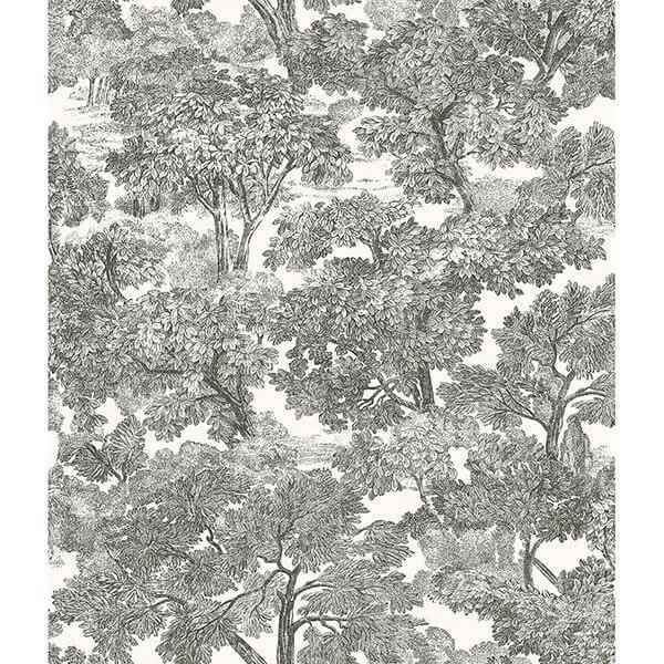 Spinney Black Toile Wallpaper - York Wallcoverings - 3115-12542 - York Wallcoverings Wallpaper