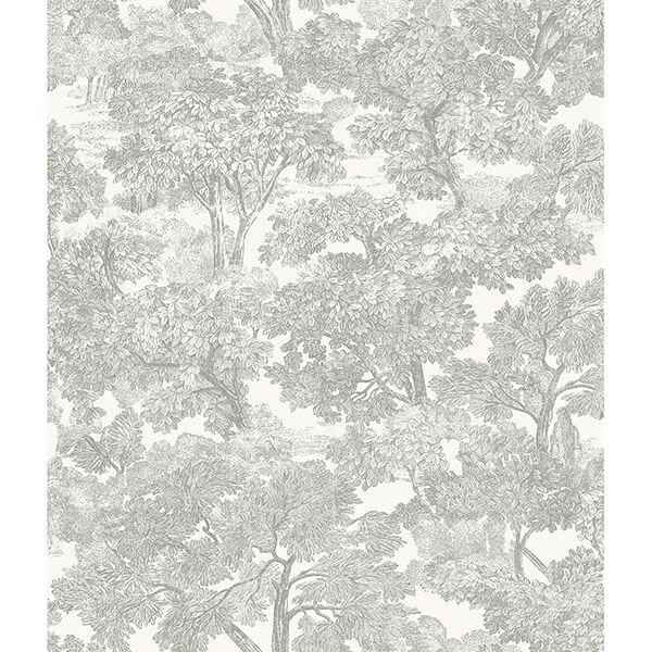 Spinney Grey Toile Wallpaper - York Wallcoverings - 3115-12541 - York Wallcoverings Wallpaper