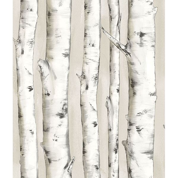 pioneer-off-white-birch-tree-wallpaper-york-wallcoverings-3118-12601