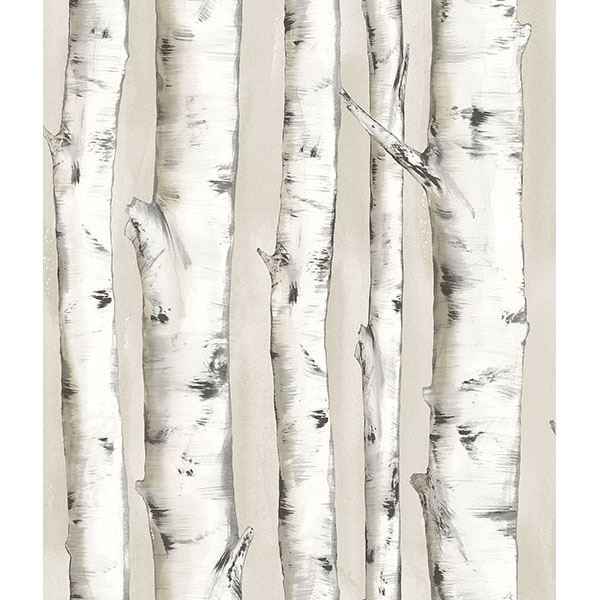 Pioneer Off White Birch Tree Wallpaper - York Wallcoverings - 3118-12601 - York Wallcoverings Wallpaper