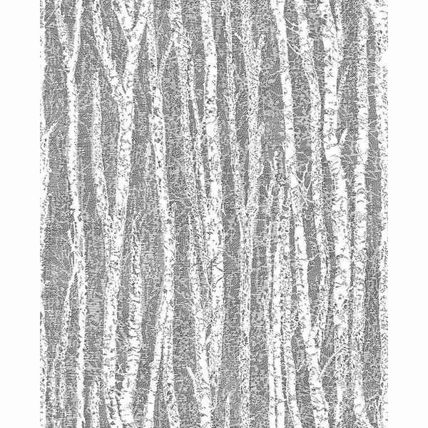 Flay Black Birch Tree Wallpaper - York Wallcoverings - 2813-24580