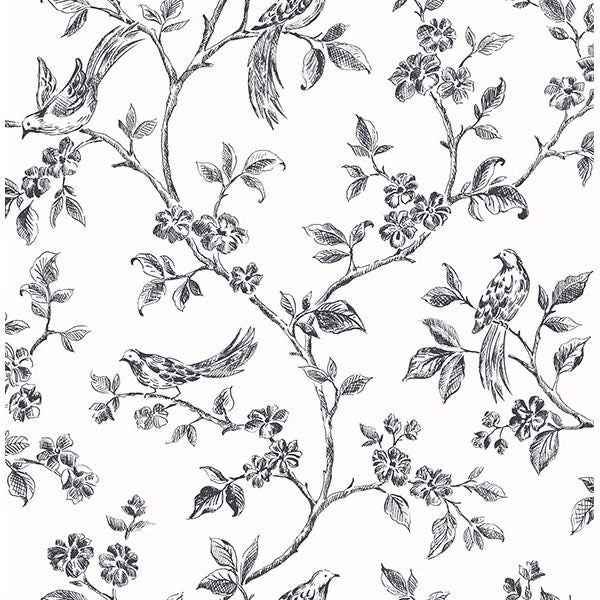 Ophelia Black Bird Trail Wallpaper - York Wallcoverings - 2836-24976