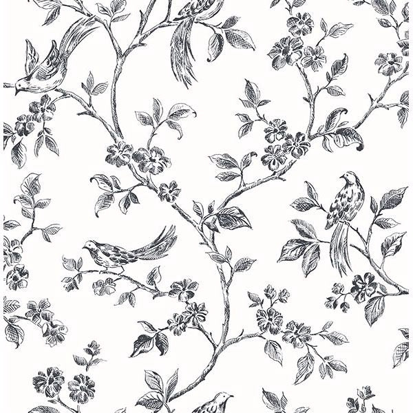 ophelia-black-bird-trail-wallpaper-york-wallcoverings-2836-24976 - York Wallcoverings Wallpaper