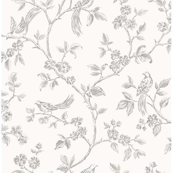 ophelia-grey-bird-trail-wallpaper-york-wallcoverings-2836-24977