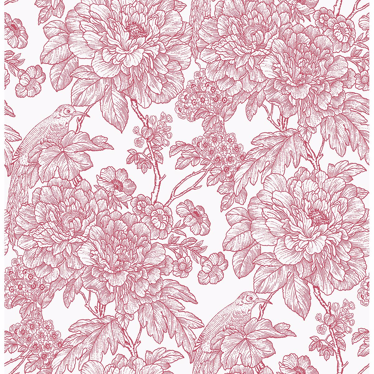 birds-of-paradise-breeze-red-floral-wallpaper-york-wallcoverings-2901-25410