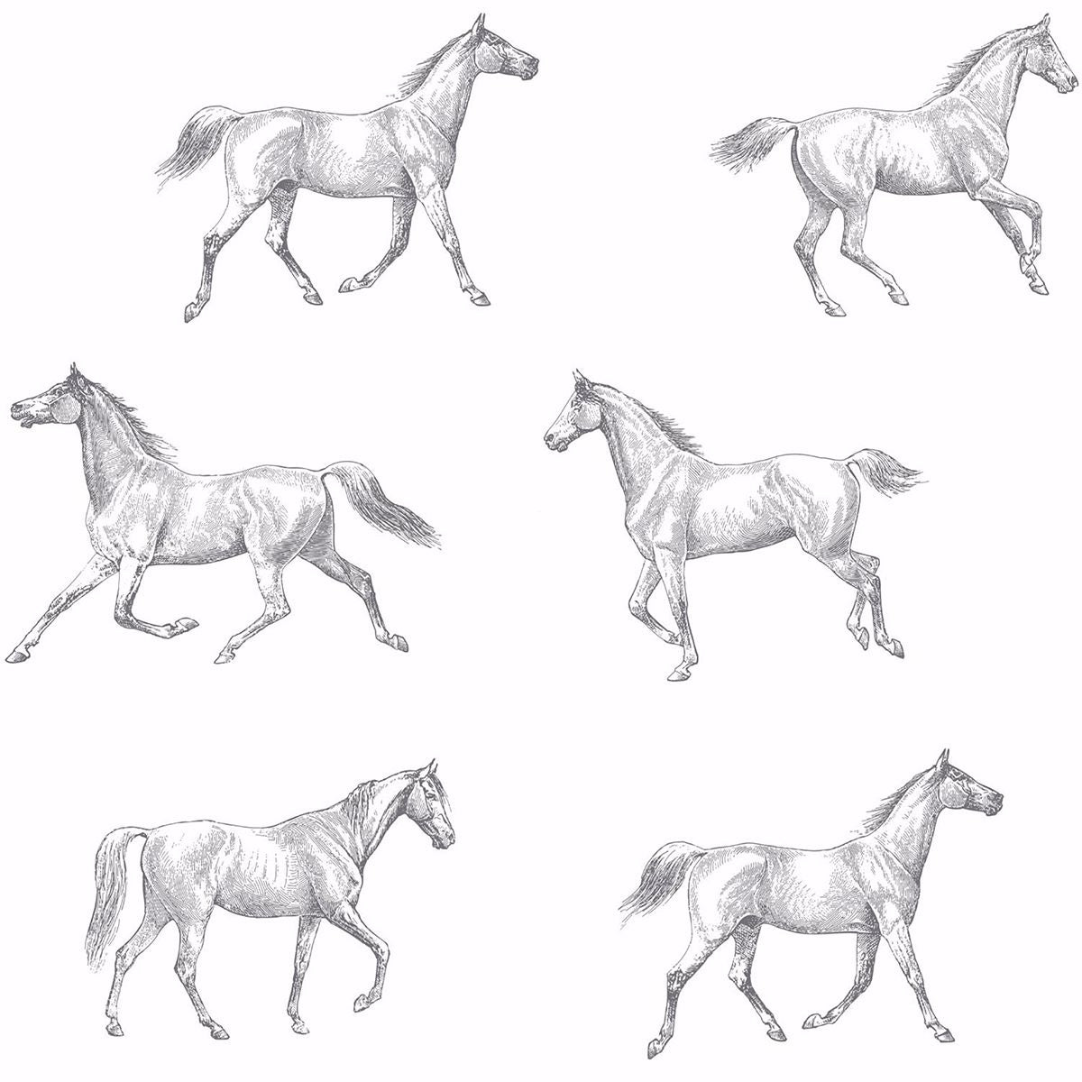burnett-off-white-horses-wallpaper-york-wallcoverings-dd128807 - York Wallcoverings Wallpaper