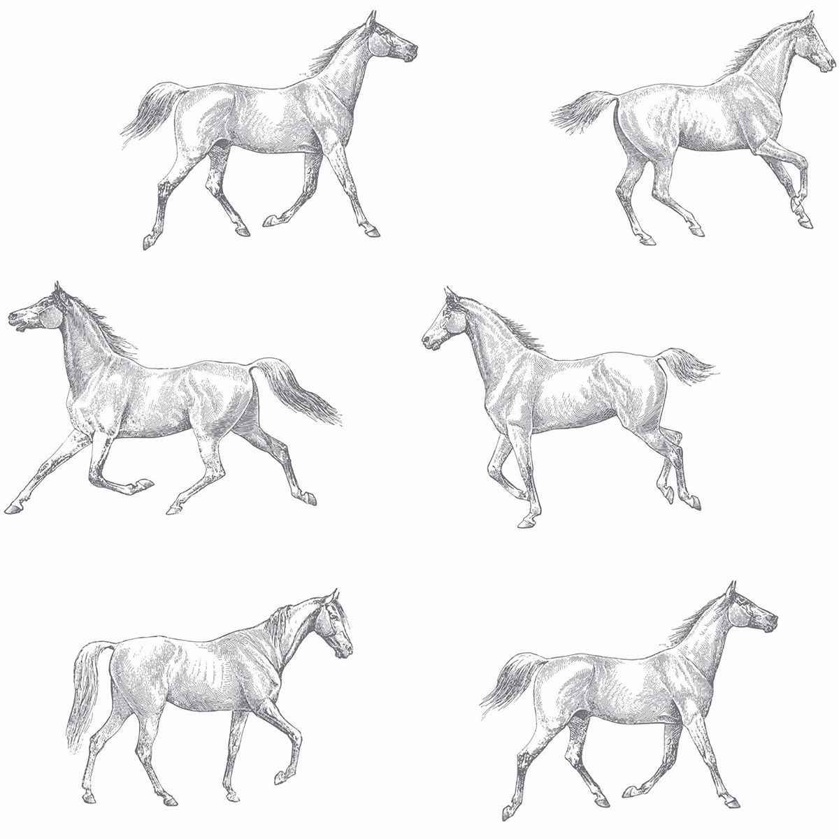 Burnett Off White Horses Wallpaper - York Wallcoverings - DD128807 - York Wallcoverings Wallpaper