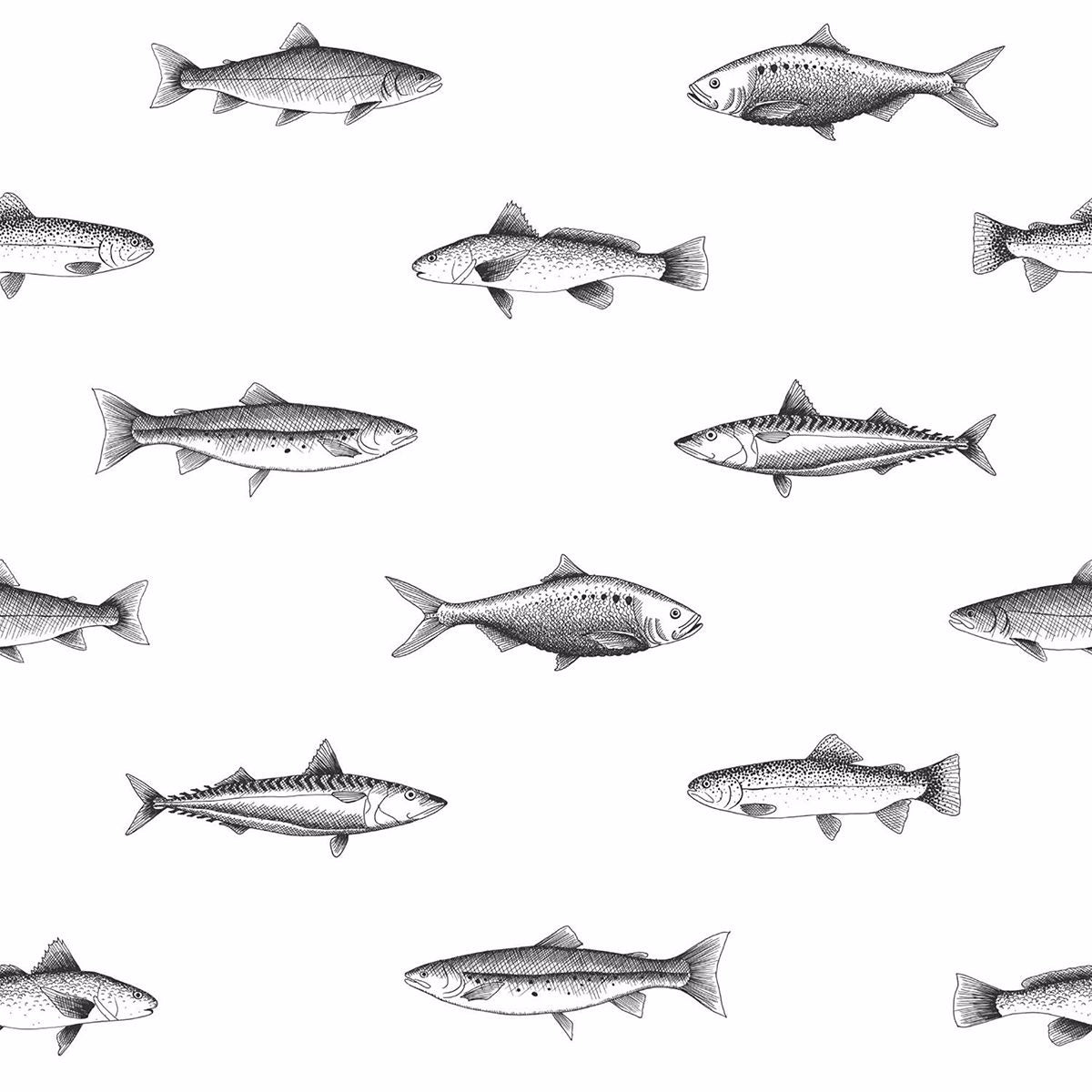 fiyero-off-white-fish-wallpaper-york-wallcoverings-dd138967 - York Wallcoverings Wallpaper