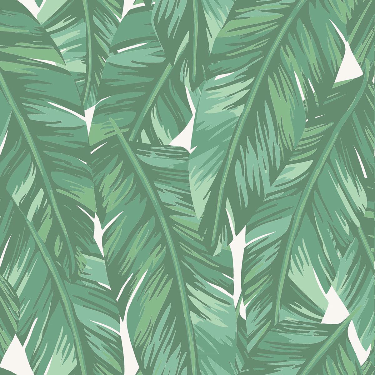dumott-green-tropical-leaves-wallpaper-york-wallcoverings-dd139014 - York Wallcoverings Wallpaper