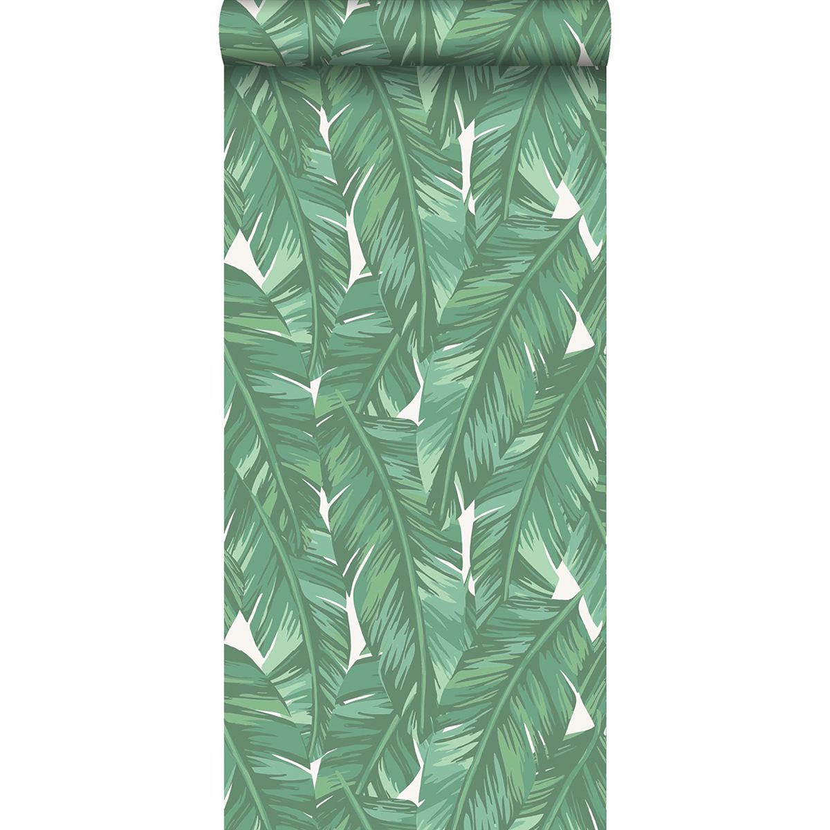 dumott-green-tropical-leaves-wallpaper-york-wallcoverings-dd139014 - York Wallcoverings Wallpaper