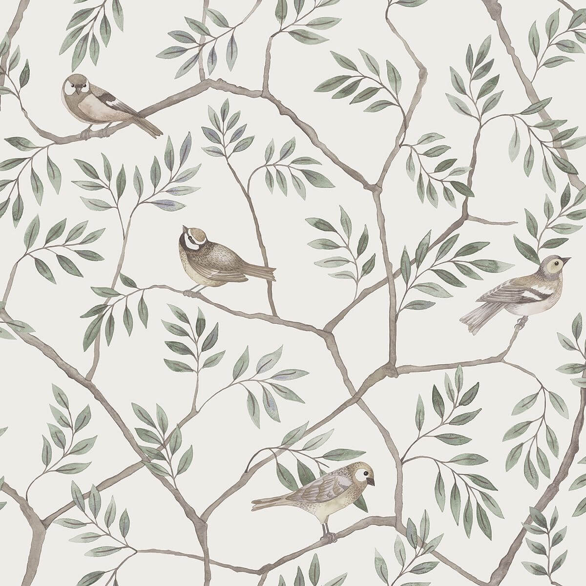 crossbill-off-white-branches-wallpaper-york-wallcoverings-2948-27015 - York Wallcoverings Wallpaper