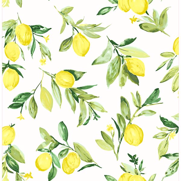 limon-chartreuse-fruit-wallpaper-york-wallcoverings-2904-25686 - York Wallpaper Wallpaper