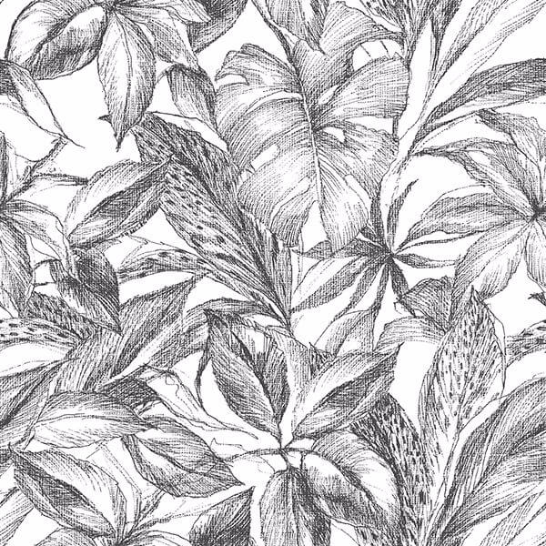 black-canopy-peel-and-stick-wallpaper-york-wallcoverings-nus3498 - York Wallcoverings Wallpaper