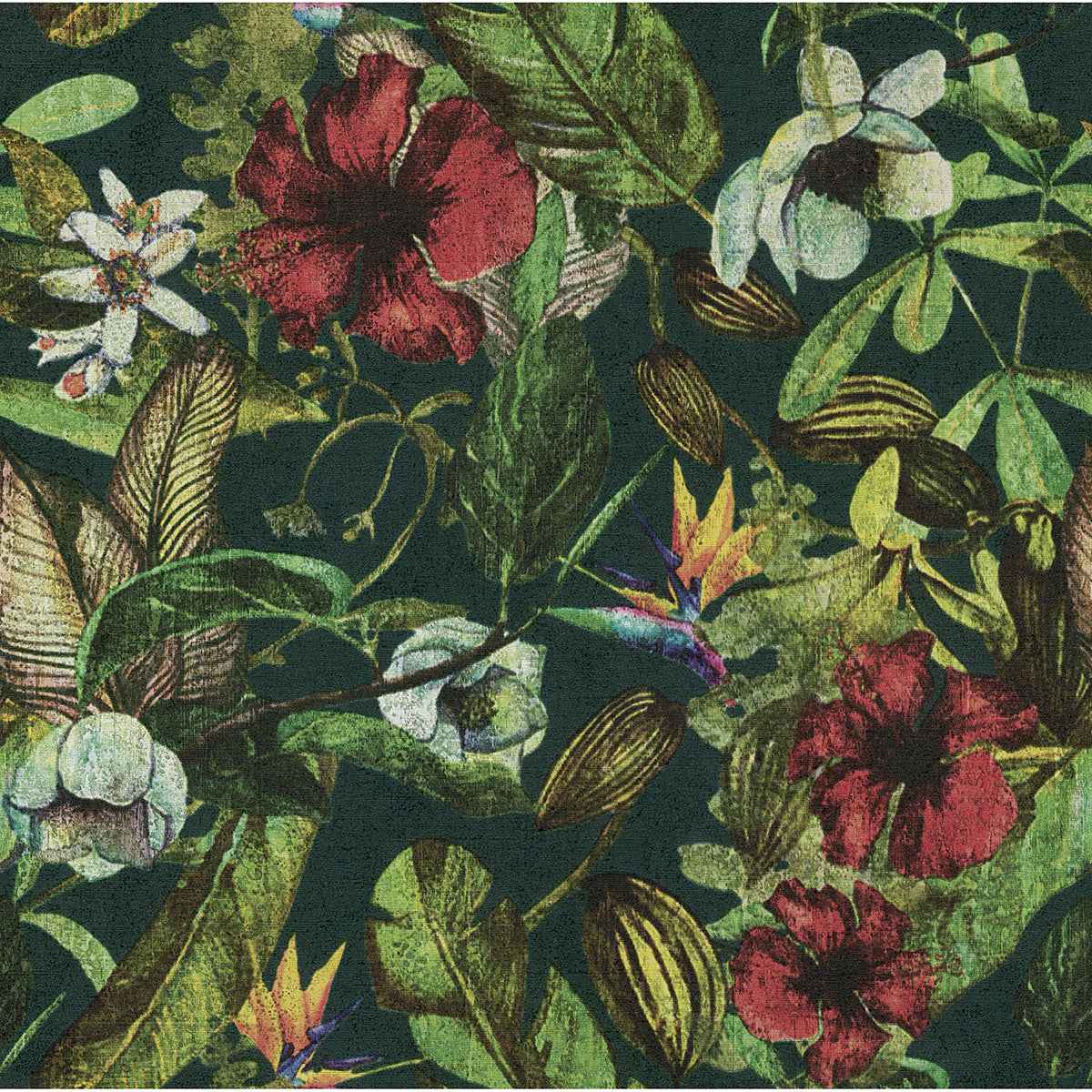 Kailano Multicolor Botanical Wallpaper - York Wallcoverings - 2979-37216-5 - York Wallcoverings Wallpaper