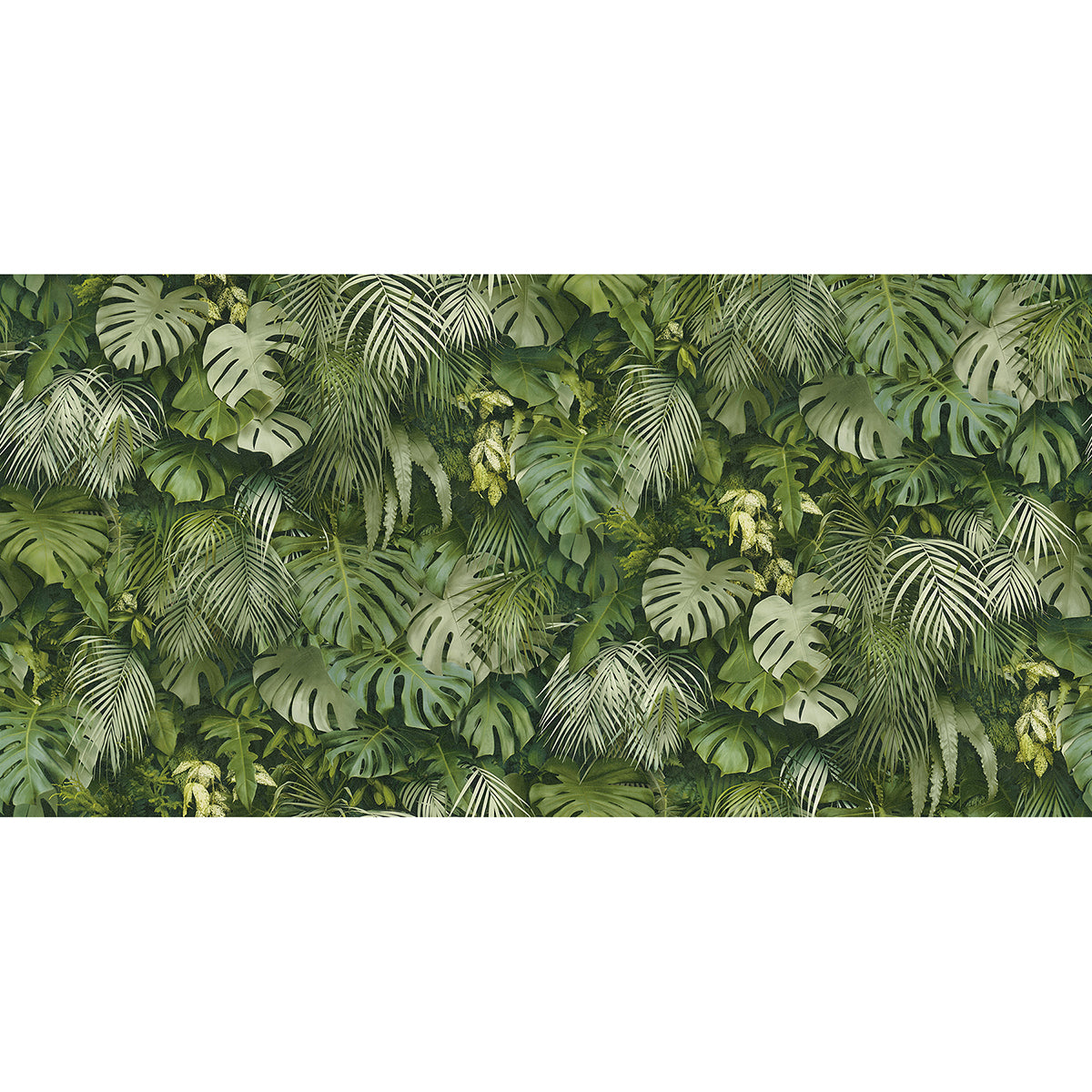 luana-green-tropical-forest-wallpaper-york-wallcoverings-2979-37280-2 - York Wallcoverings Wallpaper