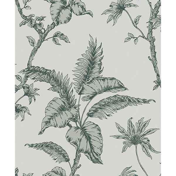 Cival Green Fern Trail Wallpaper - York Wallcoverings - MG31846